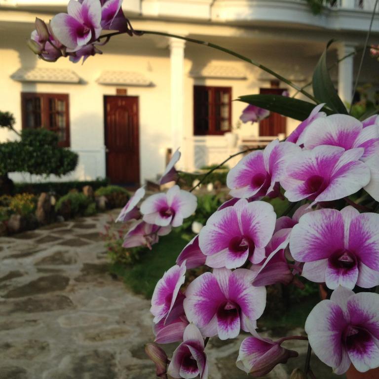 Suncosy Central Hotel Που Κουόκ Εξωτερικό φωτογραφία